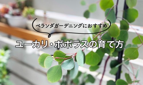 体脂肪含量多少算正常-体脂肪含量-专业体脂肪量是体脂吗平台-体脂肪含量低怎么办